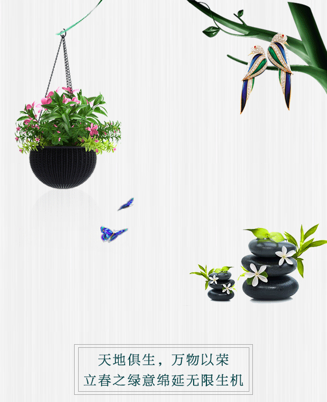 7.gif