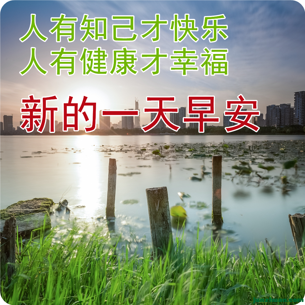 260515117_1_2023021205280536 (1).png
