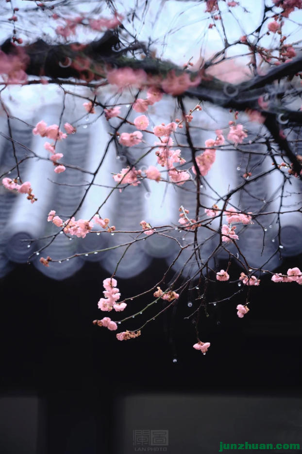 ΢ͼƬ_20230214201727.png