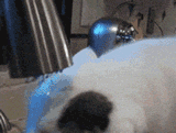 s20131017121143836.gif