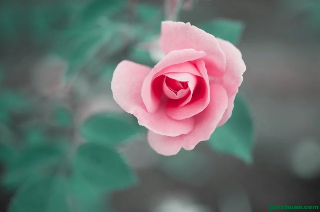 ΢ͼƬ_20230313193047.jpg