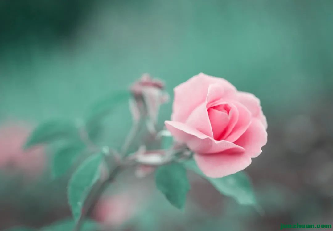 ΢ͼƬ_20230313193050.jpg