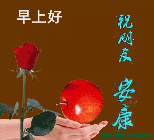 IMG_7795.PNG