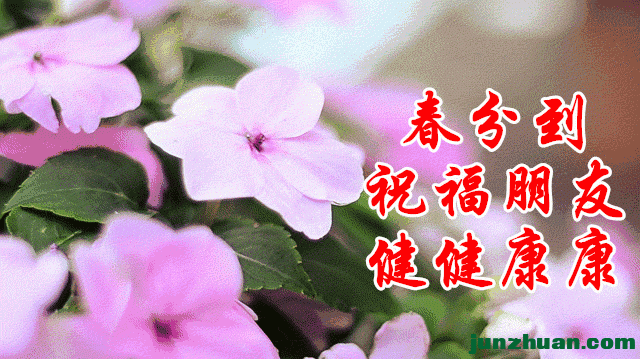 23587ab7da72688b98e3788455190671_218085440_6_20210320081156723.gif