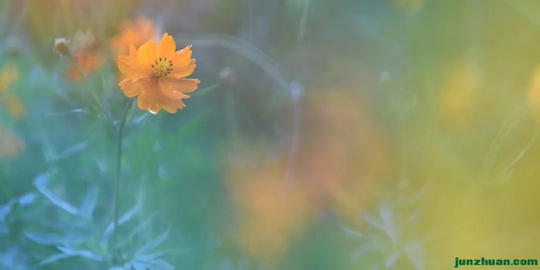΢ͼƬ_20230324193718.jpg