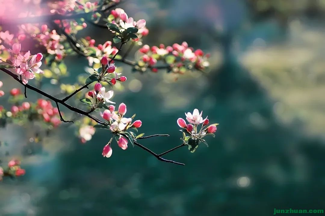 ΢ͼƬ_20230328172421.jpg
