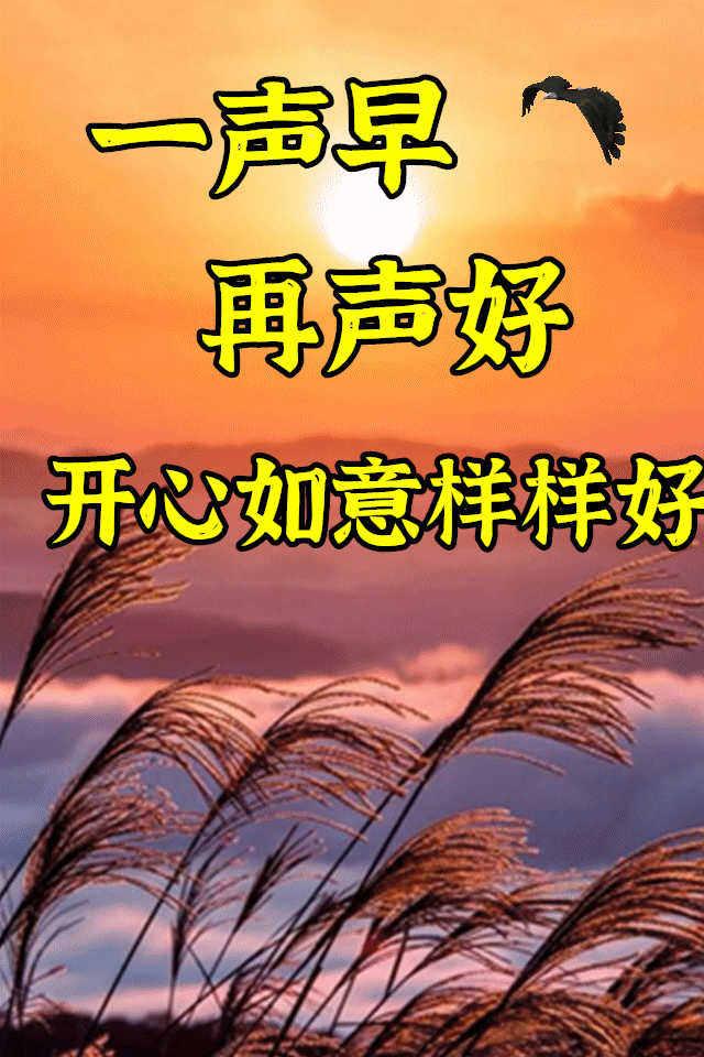 dbeff61320e87add6728923c0091fe9b_263509155_3_20230401025338973.gif