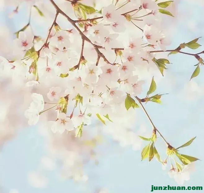 ΢ͼƬ_20230409173948.jpg
