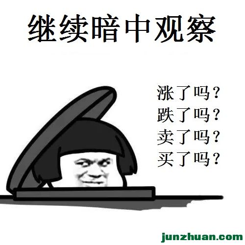 15.jpg