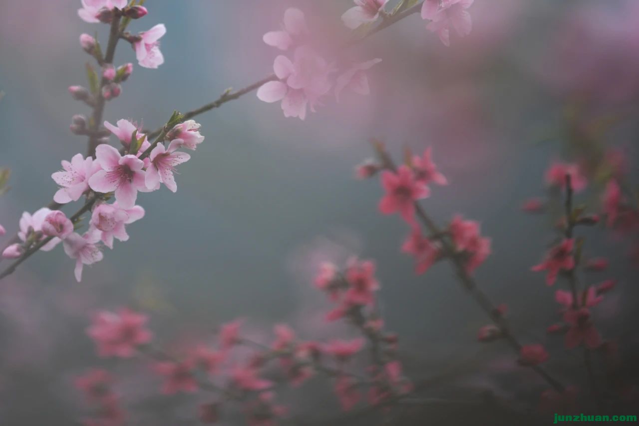 ΢ͼƬ_20230502171306.jpg