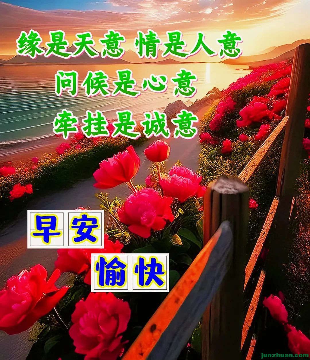 266878543_4_20230601063737722.jpeg