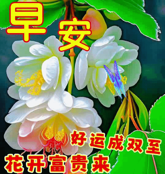 619cfccbc7fca0d67ad55dd59f9ff94a_267136489_5_20230604082034569_Expires=168604094.gif