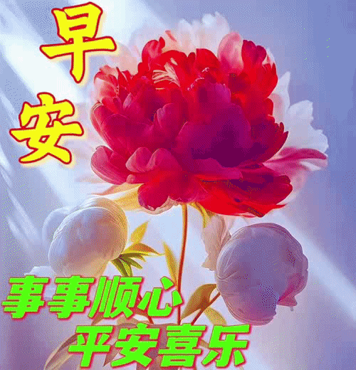 718f5b3b3c3c76ca2eb68ddff230bba1_267136489_8_20230604082035178_Expires=168604094.gif