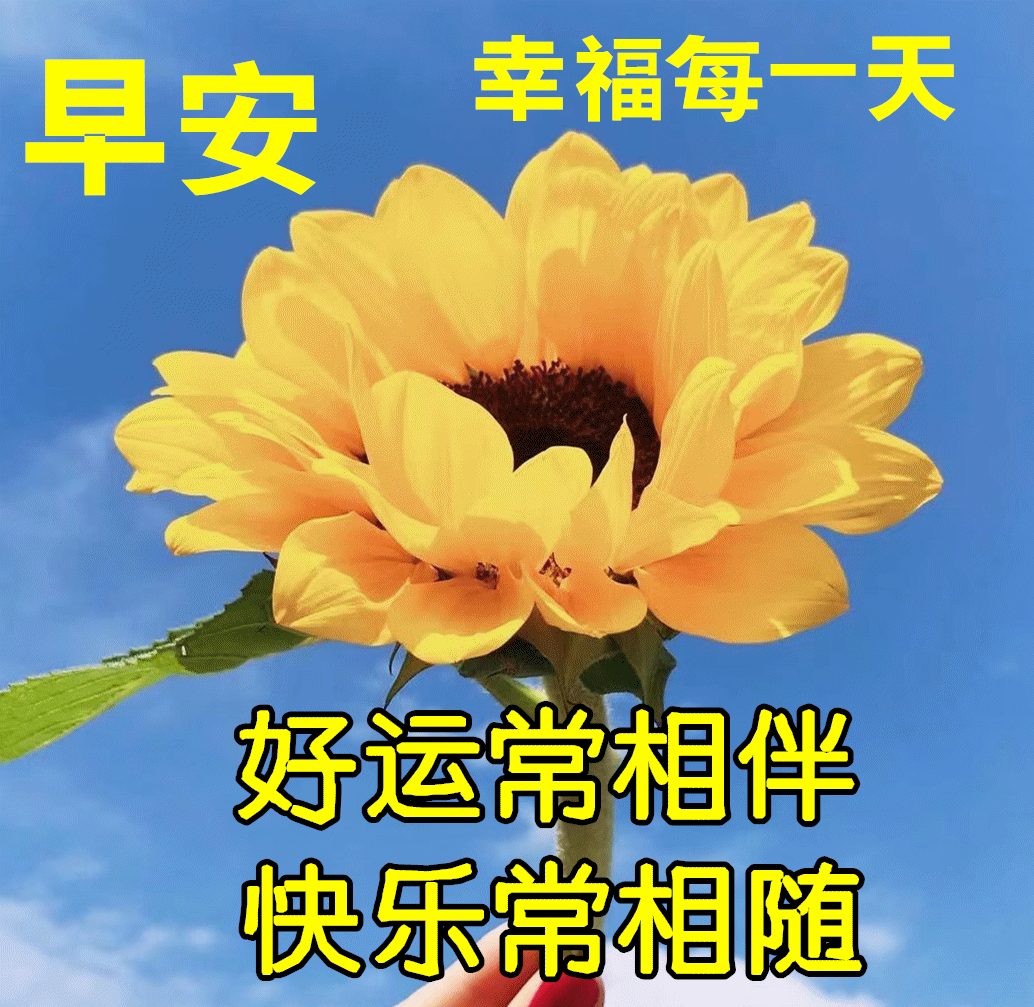 43d45fd367577d886c1867009516f572_267045629_7_20230602110648132_Expires=168622333.gif