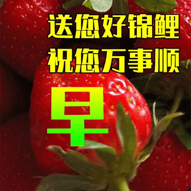 b5c6730da4d0617de8f9f26f46aab1ea_267087365_5_20230603074007459_Expires=168629735.gif