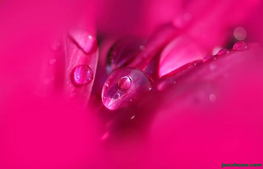 640 (27).jpg
