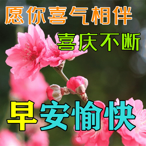74195cf24e7257382af0b96ceb9a3ddb_267528542_2_20230612061022322_Expires=168716468.gif