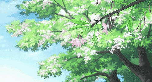 640 (4).gif