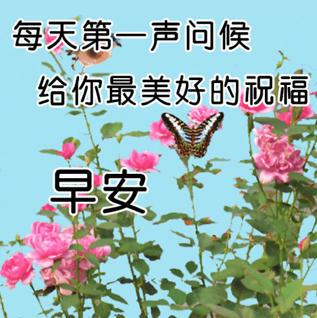 5799ce4d252290150280d6d3fa93fadf_268957225_5_20230711064050681_Expires=168932047.gif