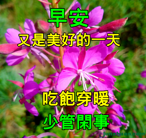 269339641_4_20230719073346932.png