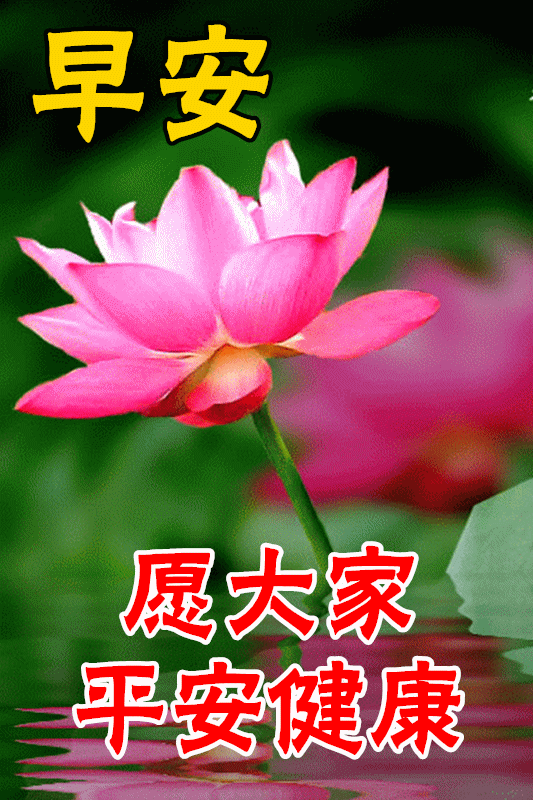 83fdd1cea802da707689cce772ee30f7_269339641_5_20230719073347104_Expires=169015351.gif