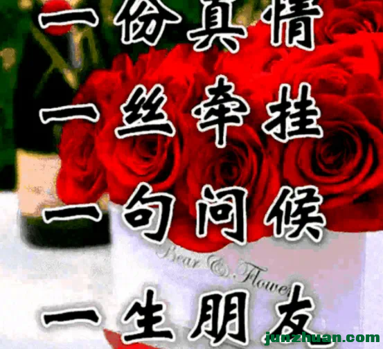 IMG_0141.PNG