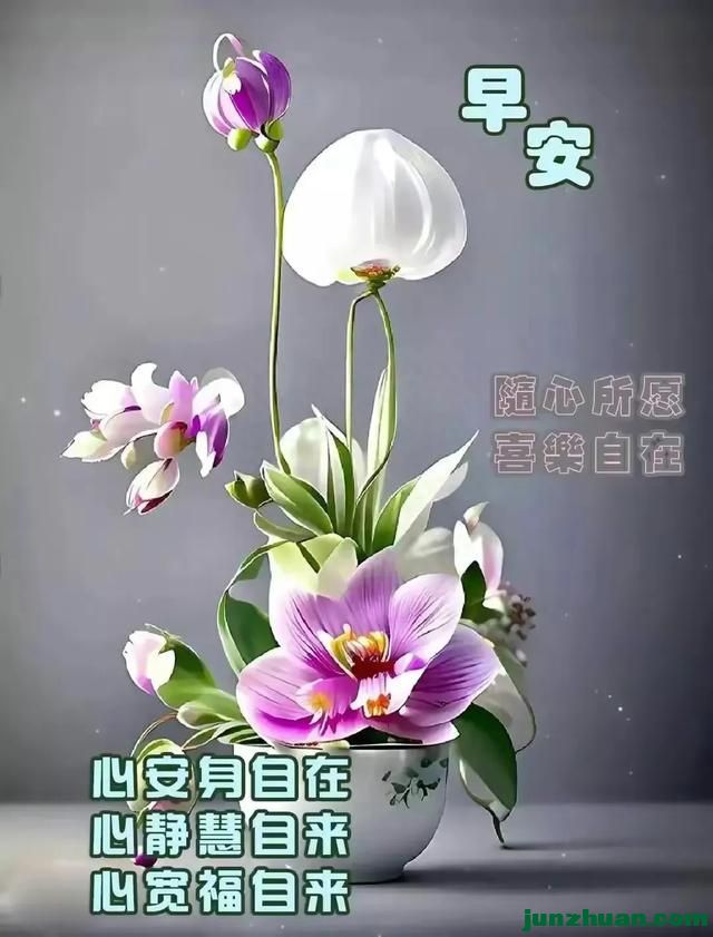 271463250_4_20230829063424351.jpeg