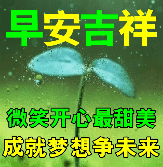 9cd456b96ac19bfb5d2ed772ce3d5a32_272028277_7_20230910074015135.gif