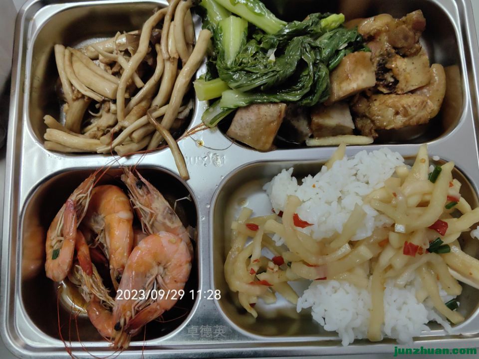 Image_1696149605470.jpg