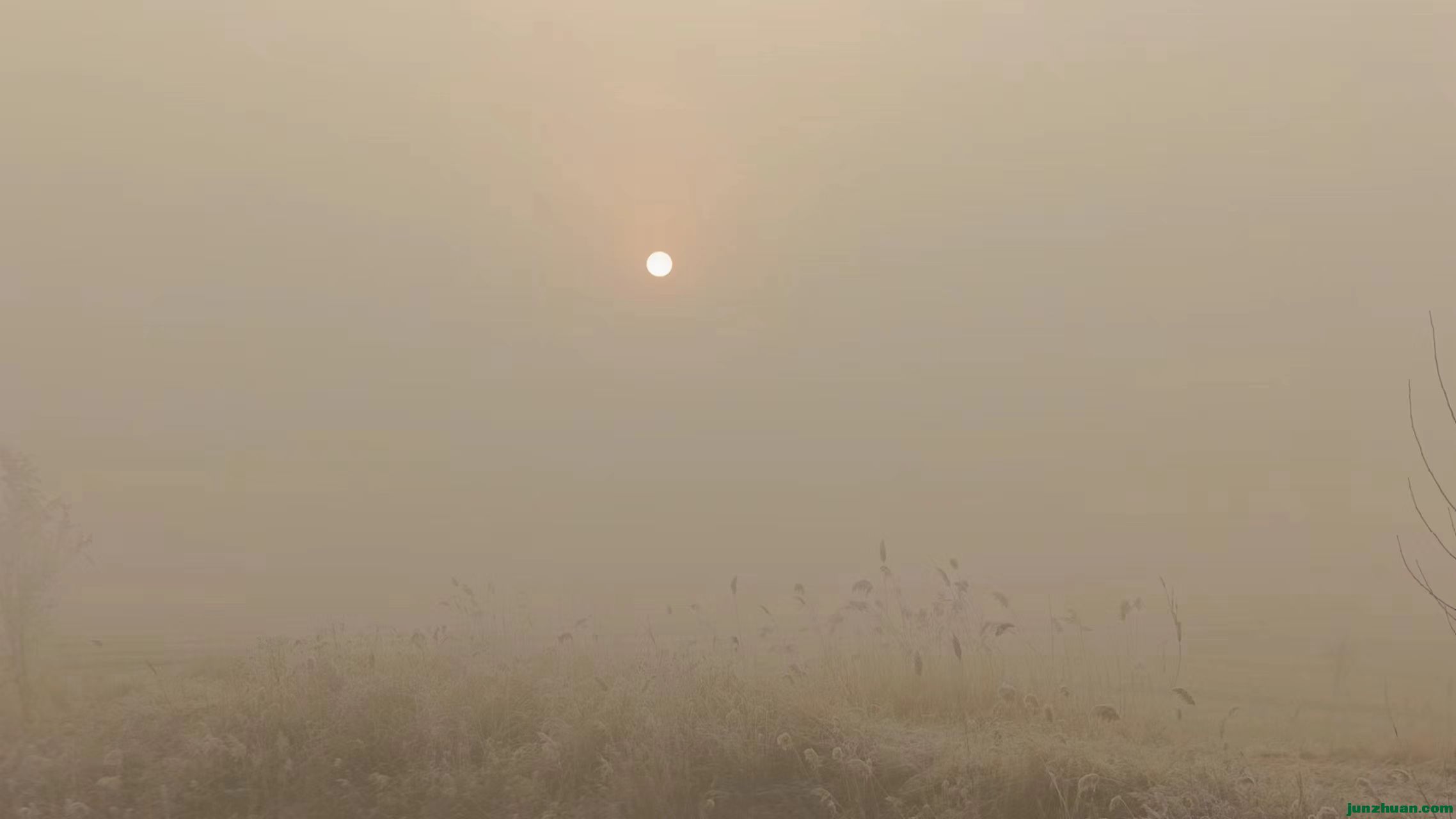 1127峿2.jpg