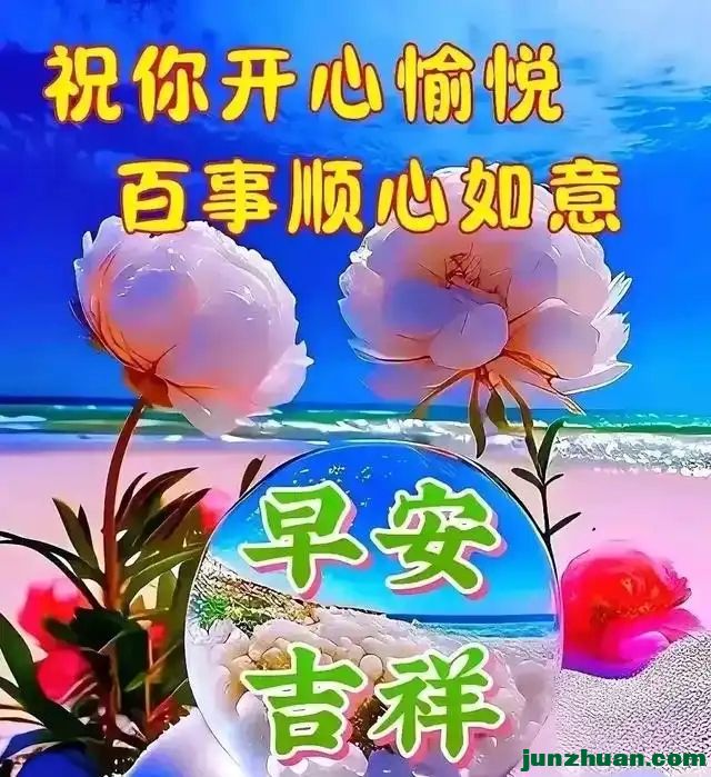 279031044_37_202401290808225.webp.jpg