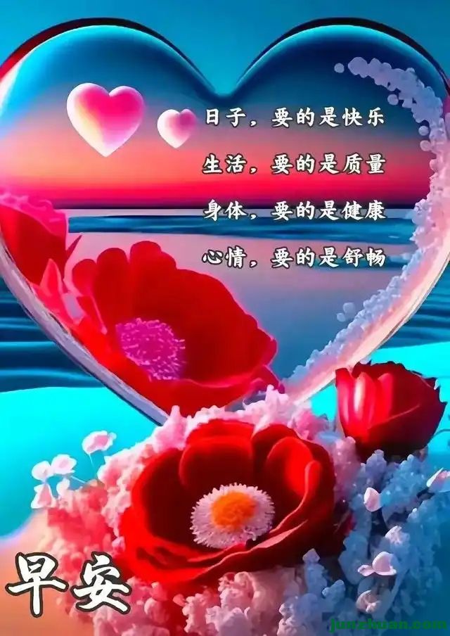 278855825_15_20240127092815516.webp.jpg