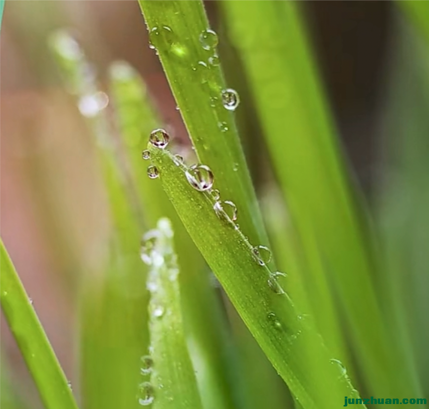 IMG_20240219_142432.png