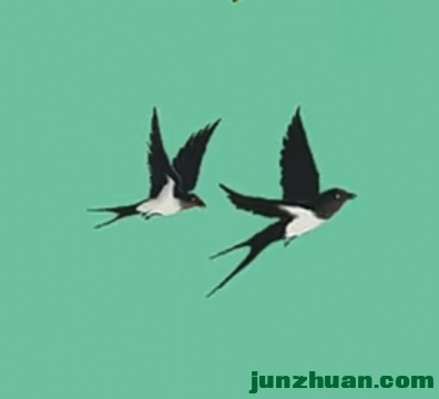 IMG_20240219_141825.png