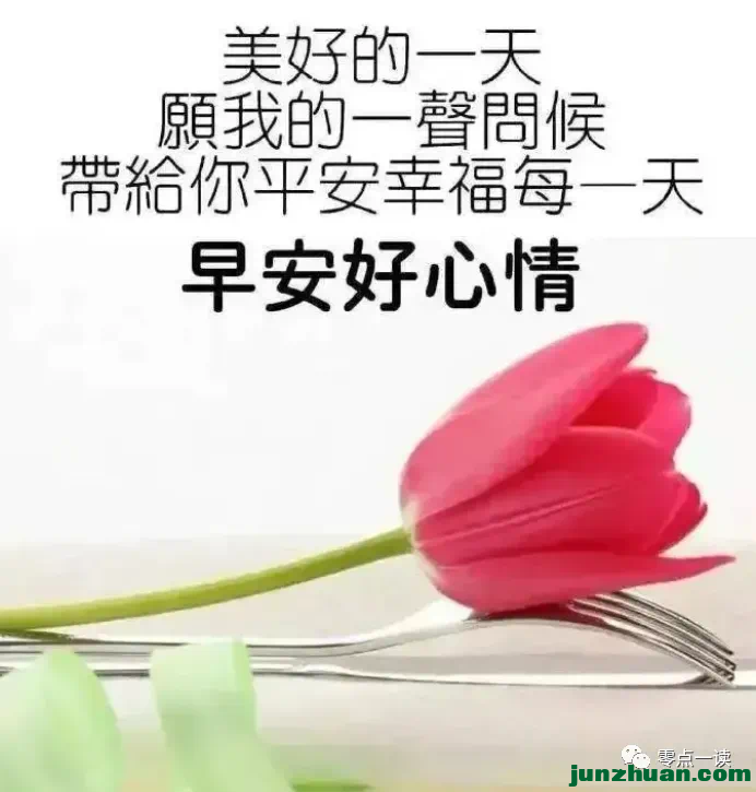 IMG_3105.PNG
