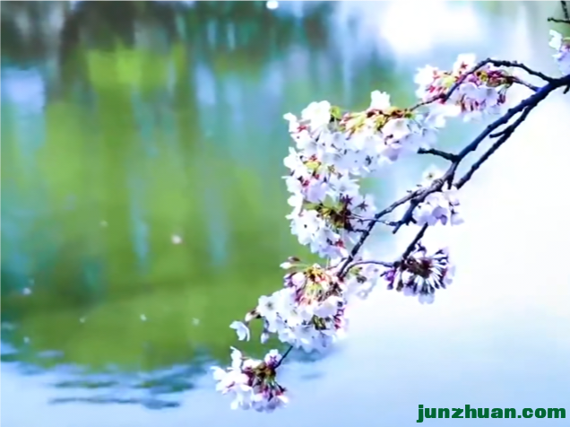 IMG_20240220_083817.png