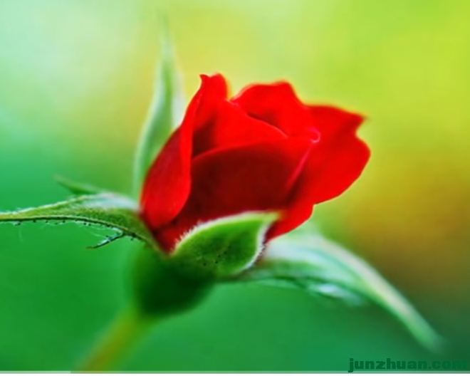 IMG_20240222_151651.png