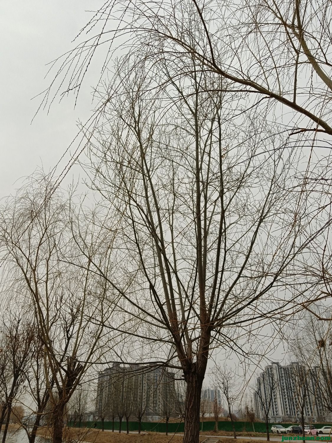 1709684457307.jpg