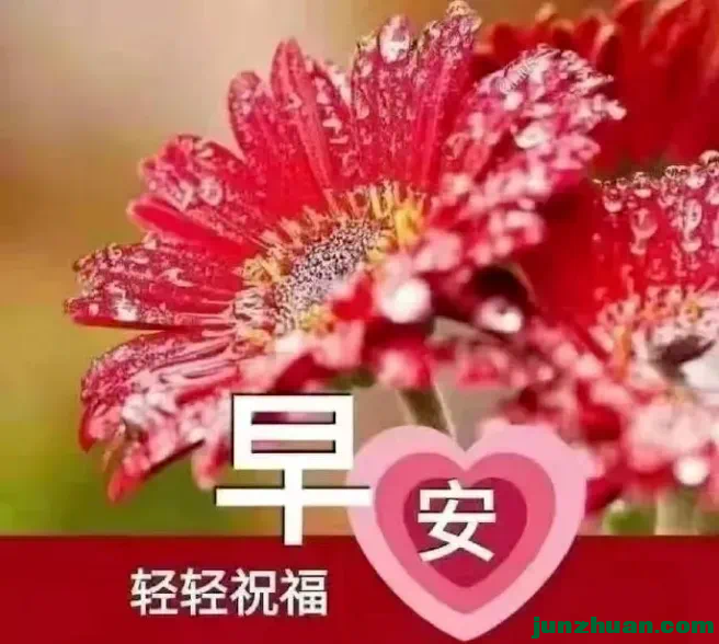 IMG_3456.PNG