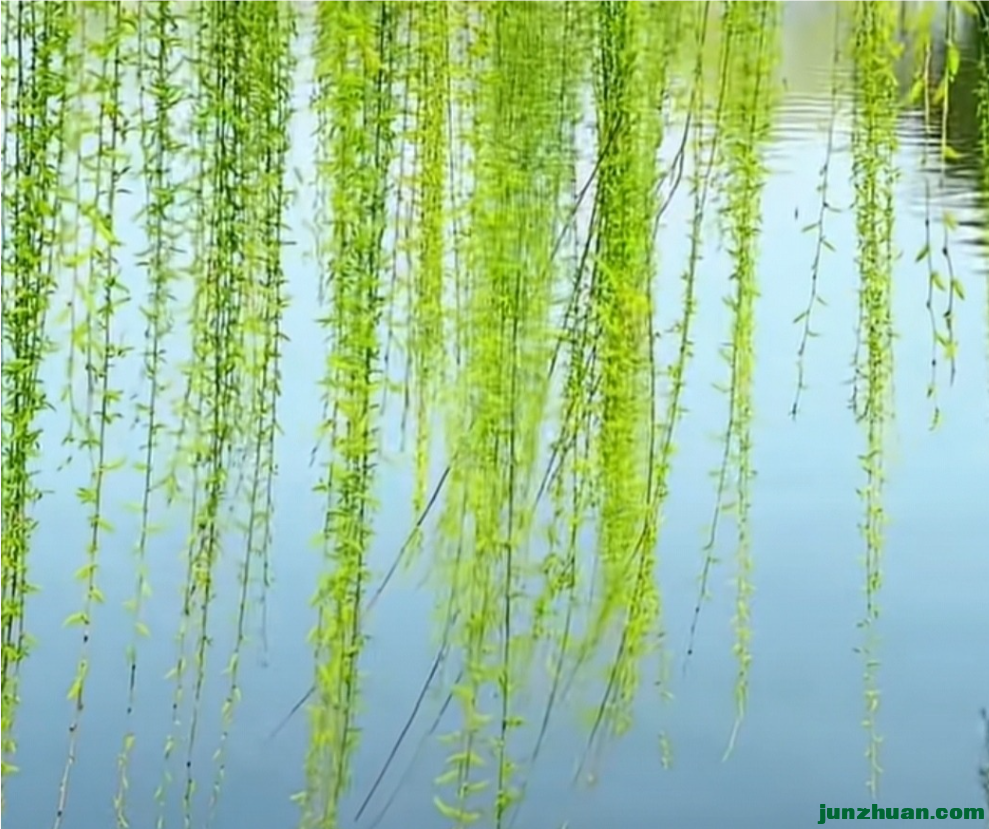 Screenshot_2024_0310_213934.png