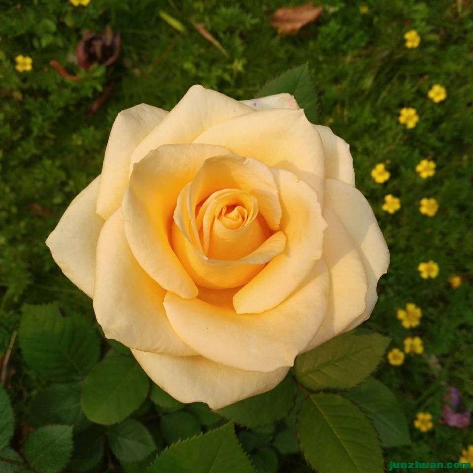 6d216f396bc36614f211ac7bd6c5cc8b_1.jpg