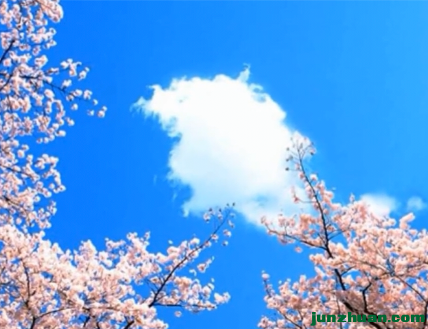 IMG_20240213_145302.png