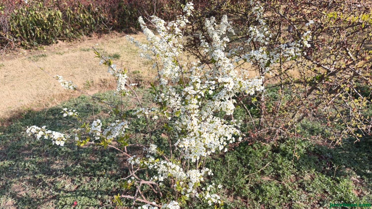 wx_camera_1711845391045.jpg