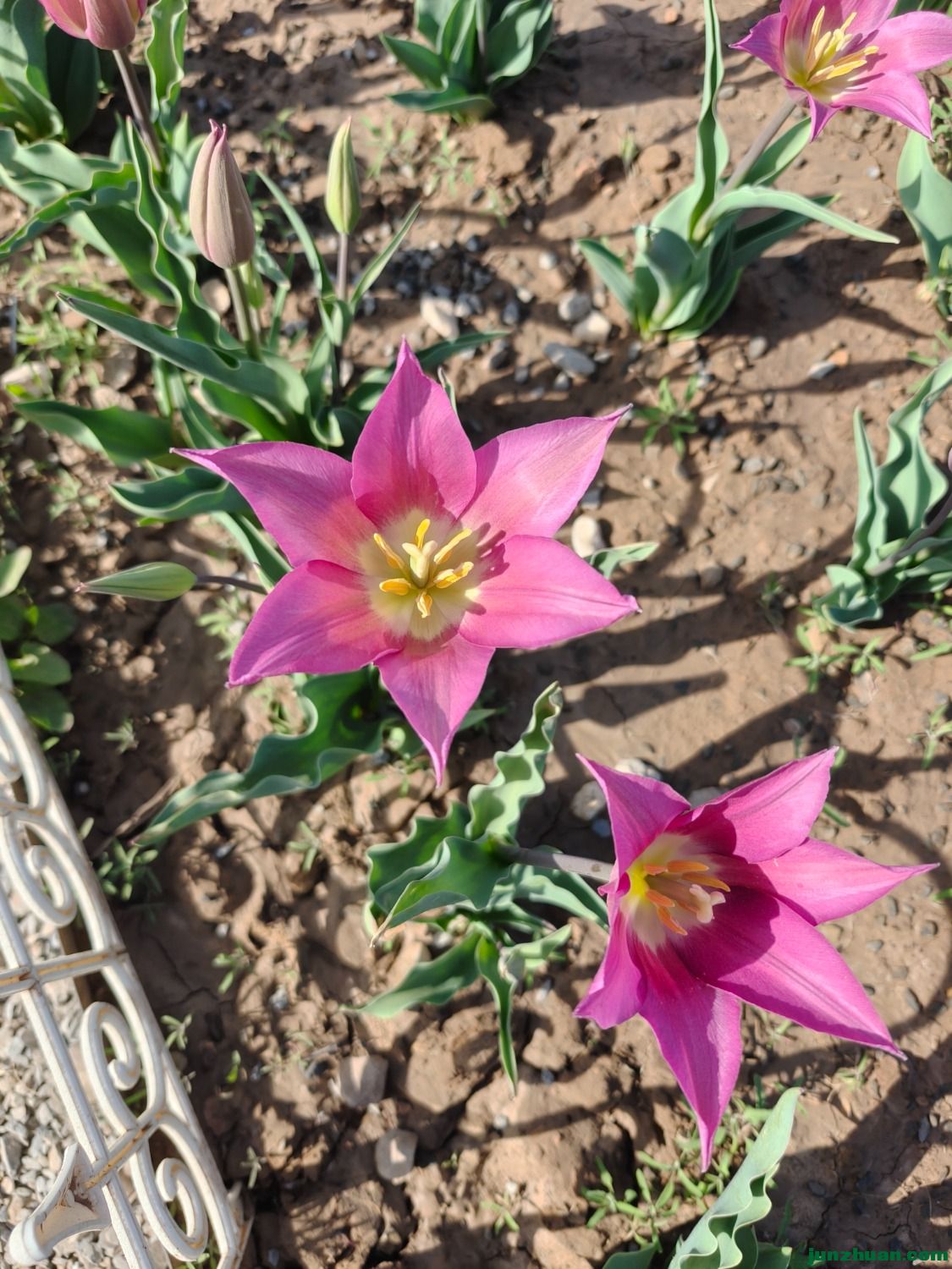 wx_camera_1711845391045.jpg