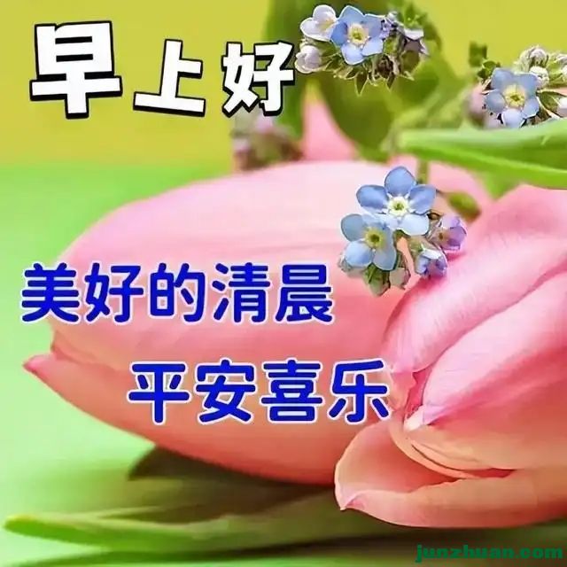 281893884_35_20240405075635144.webp.jpg