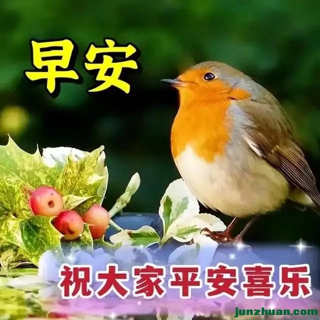 281893884_36_20240405075635300.webp.jpg