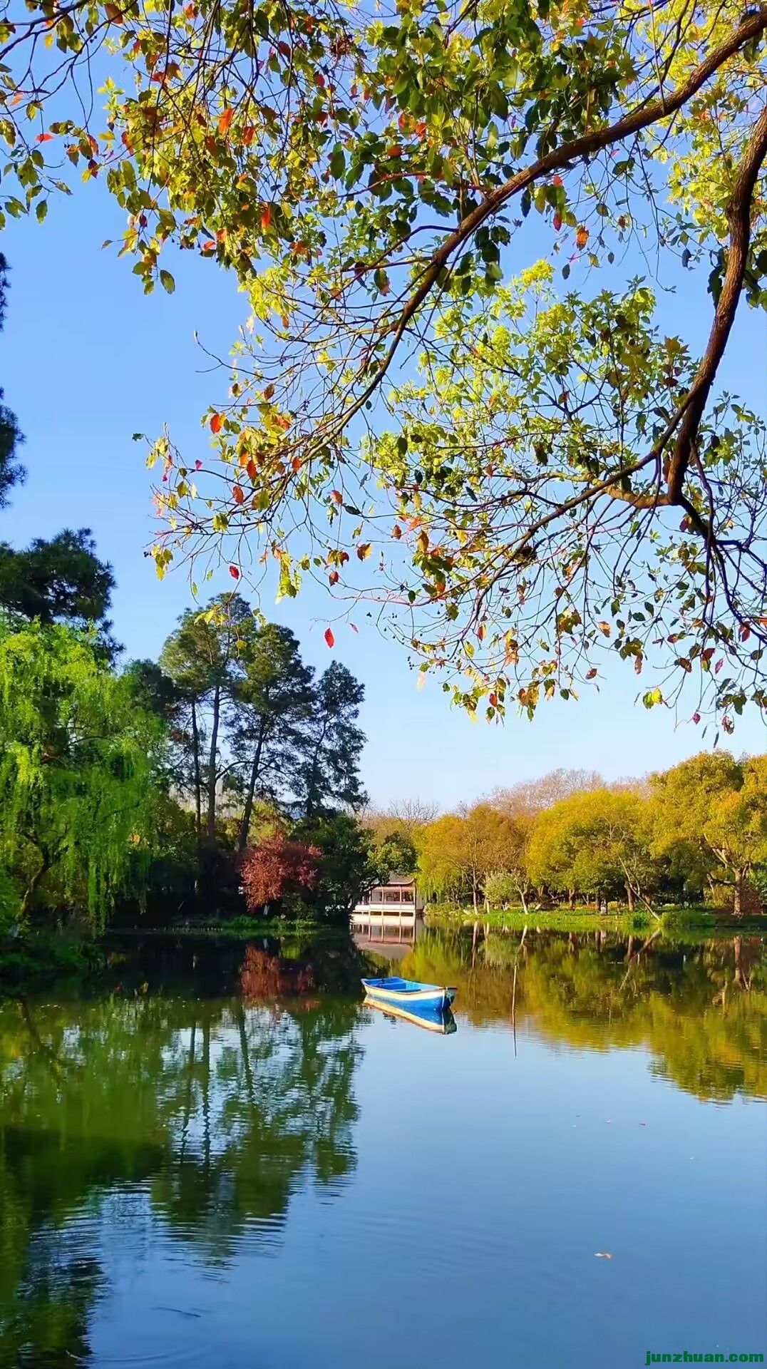 Image_1711756640900.jpg