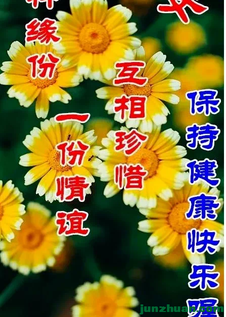 IMG_3923.PNG