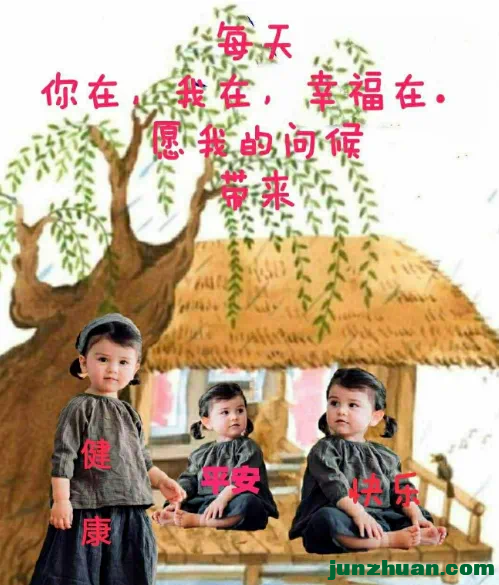 IMG_3955.PNG