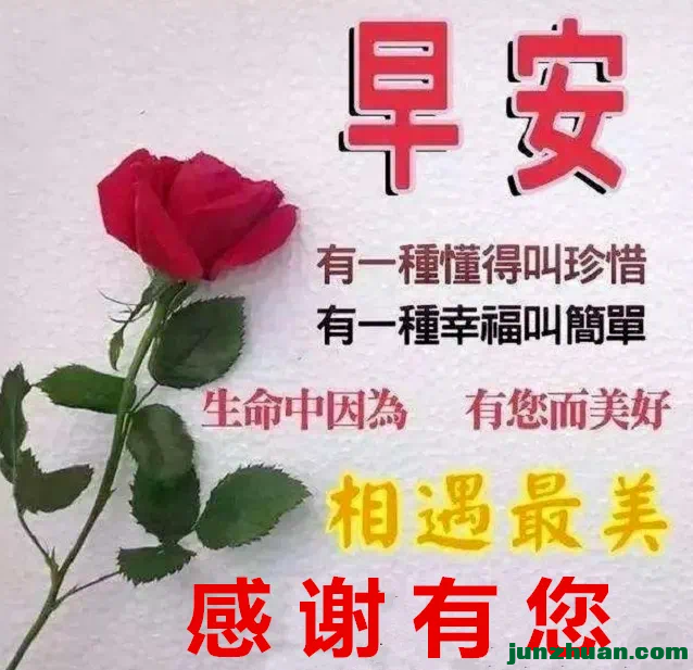 IMG_4010.PNG